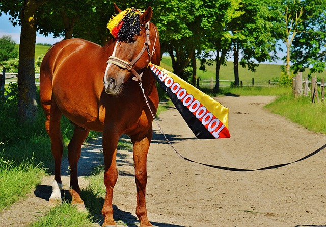 车队支持 车队支持